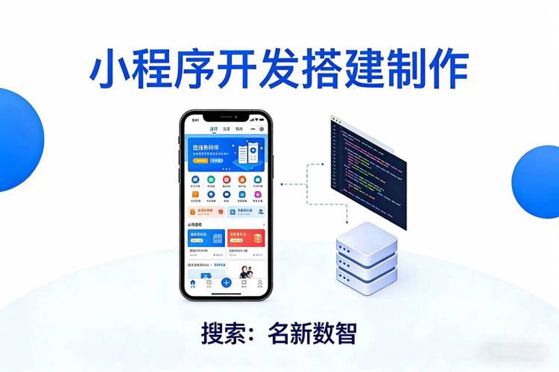 软件开发外包