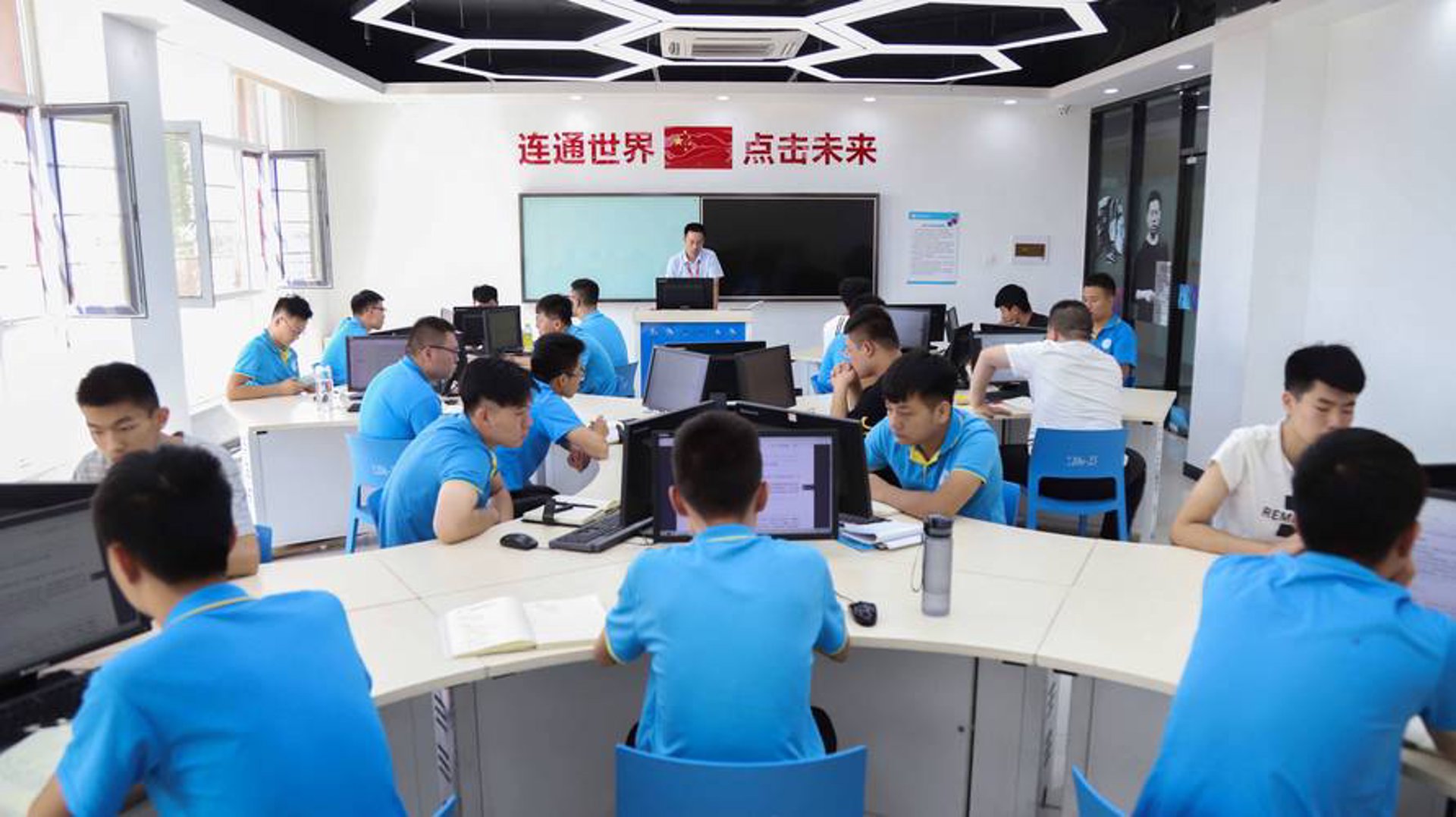 其林智虎网络