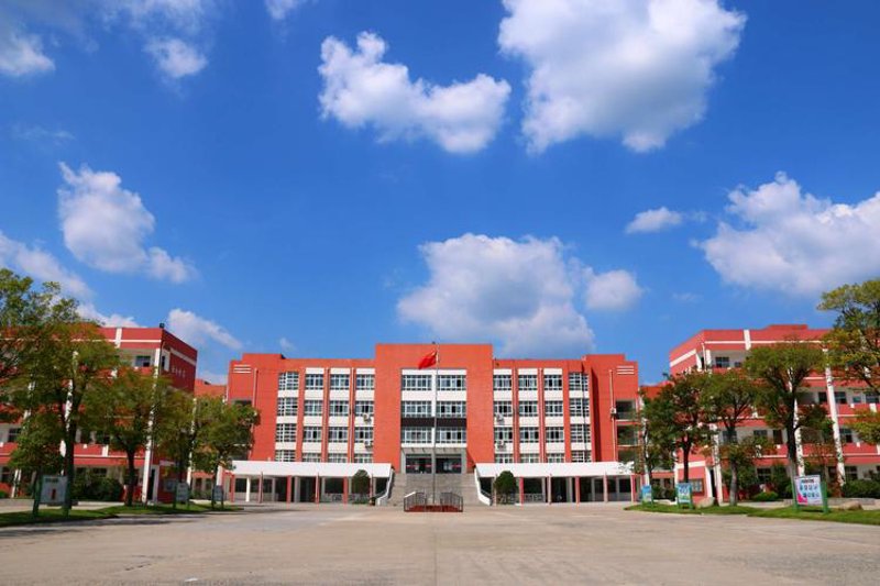 APP开发选购指南：寻找您的专属应用